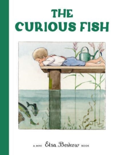 The Curious Fish, Hardback Book