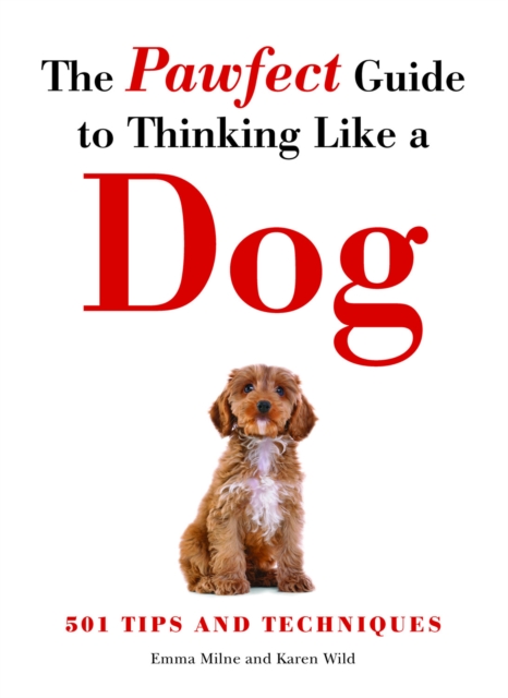 The Pawfect Guide to Thinking Like a Dog : 501 Tips and Techniques, Paperback / softback Book
