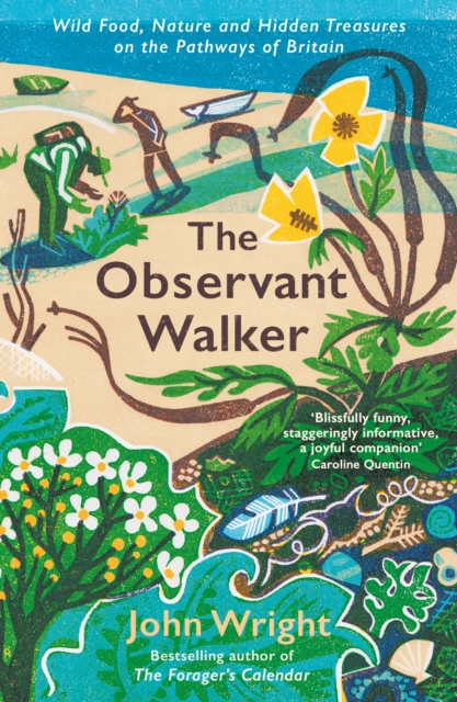 The Observant Walker : Wild Food, Nature and Hidden Treasures on the Pathways of Britain, EPUB eBook
