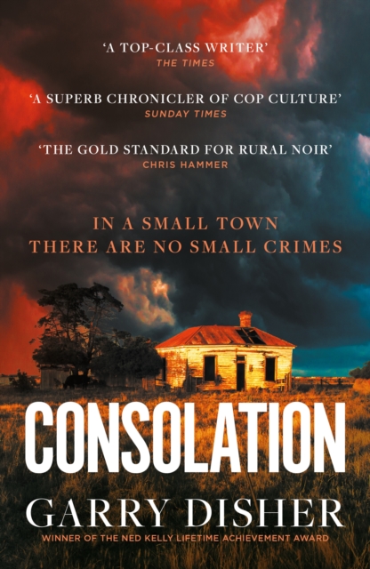 Consolation : Constable Hirsch Mysteries 3, EPUB eBook