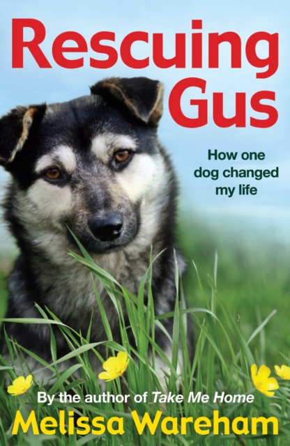 Rescuing Gus, Paperback / softback Book