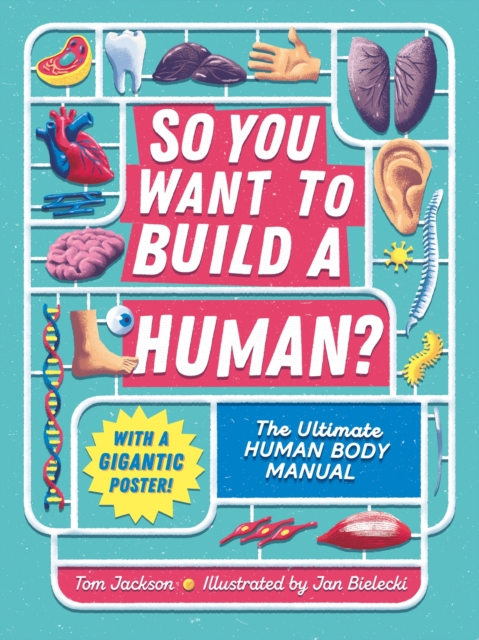 So You Want to Build a Human? : The ultimate human body manual, Hardback Book