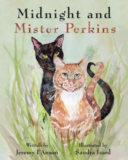 Midnight and Mister Perkins, Paperback / softback Book
