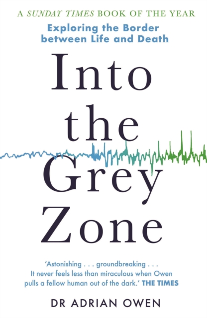 Into the Grey Zone : Exploring the Border Between Life and Death, Paperback / softback Book Into the Grey Zone : Exploring the Border Between Life and Death, Paperback / softback Book
