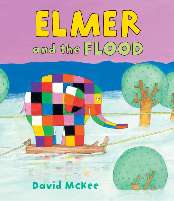 Elmer and the Flood, Paperback / softback Book