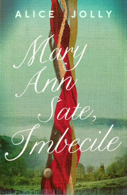 Mary Ann Sate, Imbecile, Hardback Book
