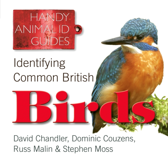 Identifying Common British Birds, Paperback / softback Book