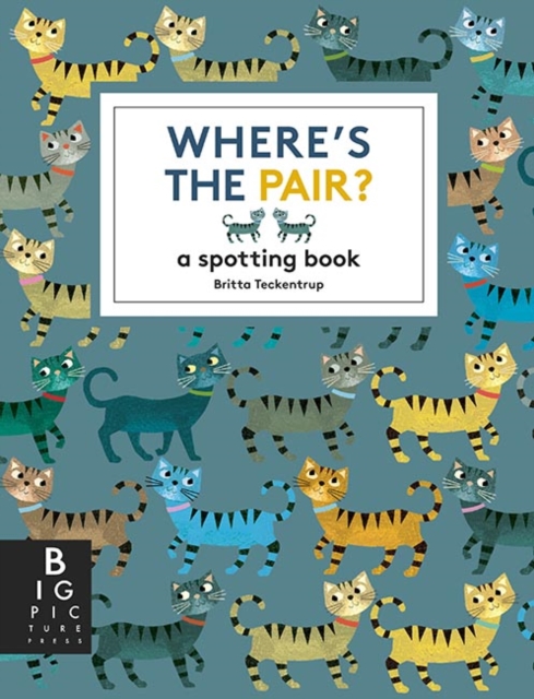 Where's the Pair? : A Spotting Book, Hardback Book