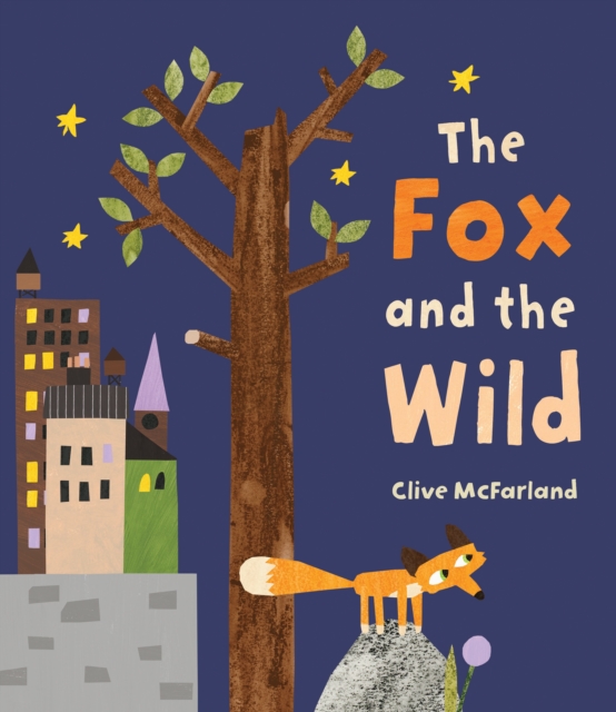 The Fox and the Wild, Hardback Book