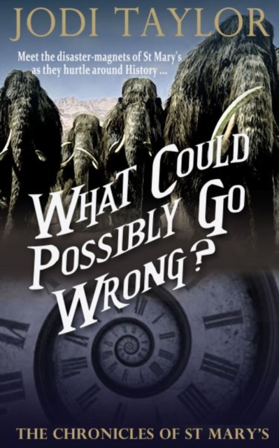 What Could Possibly Go Wrong?, Paperback / softback Book