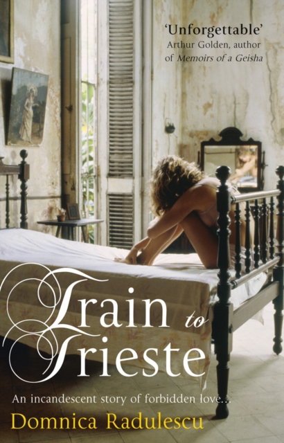 Train to Trieste, Paperback / softback Book