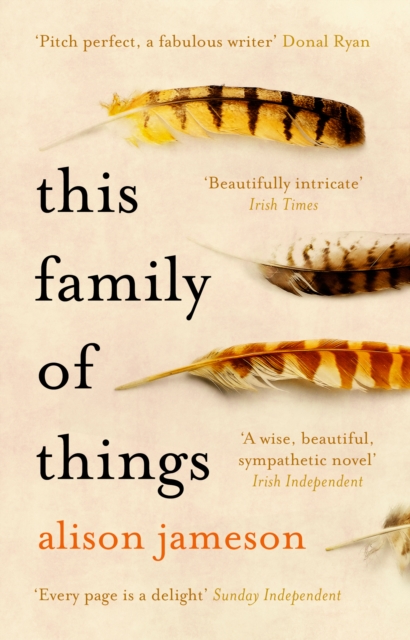 This Family of Things, Paperback / softback Book