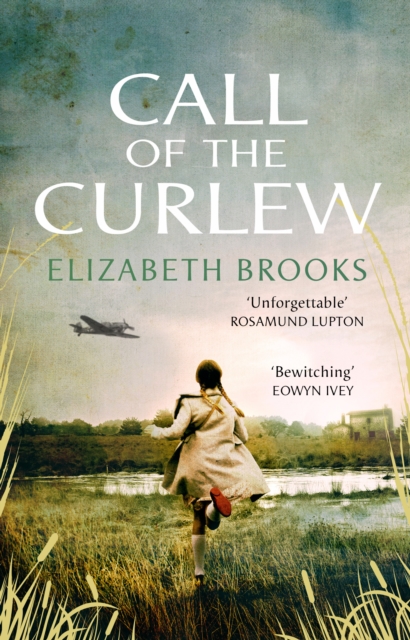 Call of the Curlew, Paperback / softback Book