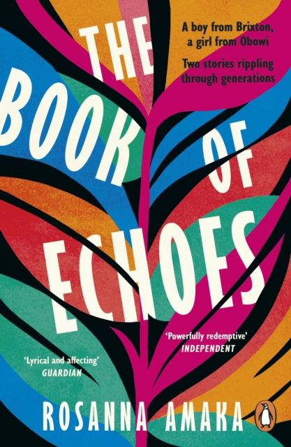 The Book Of Echoes : An astonishing debut. 'Impassioned. Lyrical and affecting' GUARDIAN, Paperback / softback Book