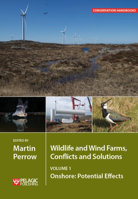 Wildlife and Wind Farms - Conflicts and Solutions : Onshore: Potential Effects, Paperback / softback Book