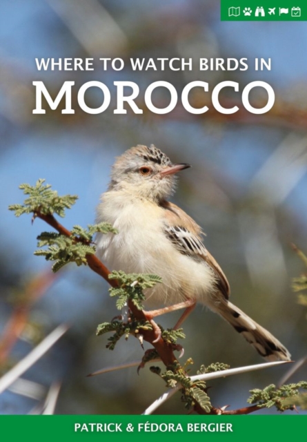 Where to Watch Birds in Morocco, Paperback / softback Book