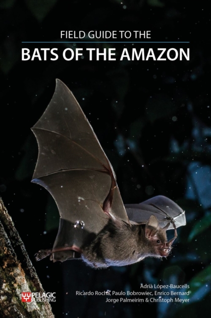 Field Guide to the Bats of the Amazon, Paperback / softback Book