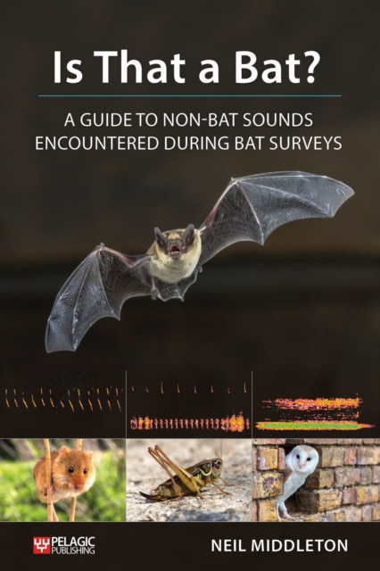 Is That a Bat? : A Guide to Non-Bat Sounds Encountered During Bat Surveys, EPUB eBook