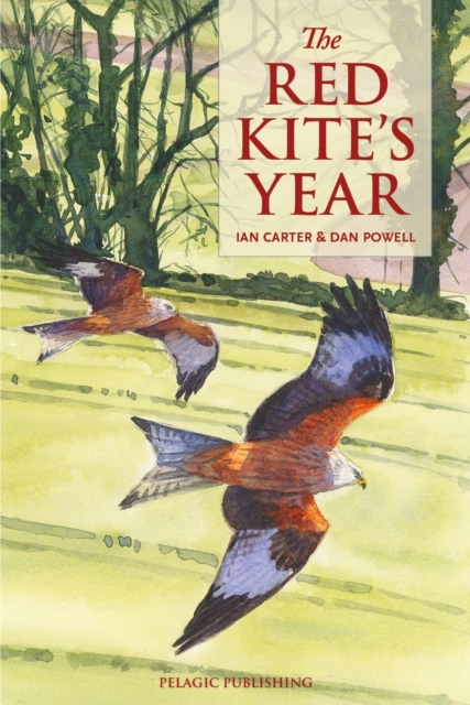 The Red Kite's Year, Paperback / softback Book