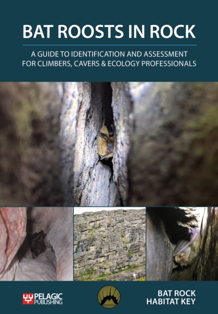 Bat Roosts in Rock : A Guide to Identification and Assessment for Climbers, Cavers & Ecology Professionals, PDF eBook