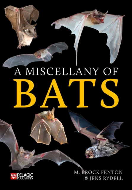 A Miscellany of Bats, EPUB eBook