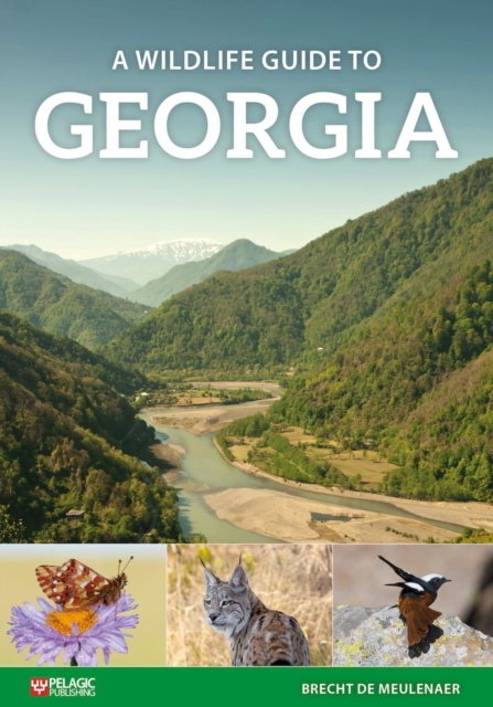 A Wildlife Guide to Georgia, Paperback / softback Book