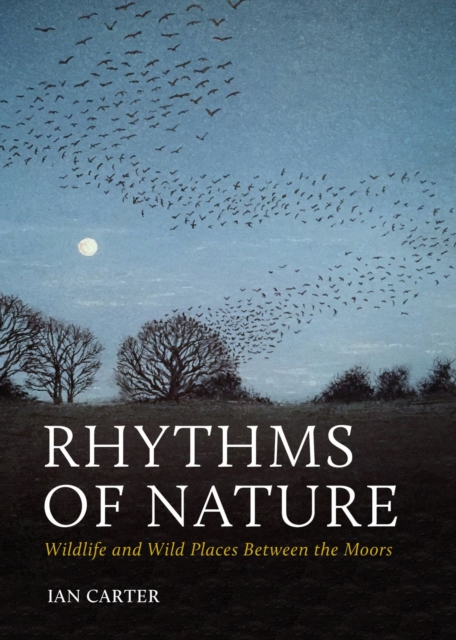 Rhythms of Nature : Wildlife and Wild Places Between the Moors, Hardback Book