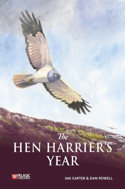 The Hen Harrier's Year, PDF eBook