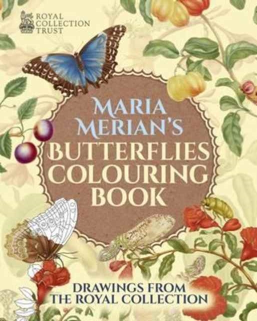Butterflies Colouring Book, Paperback / softback Book