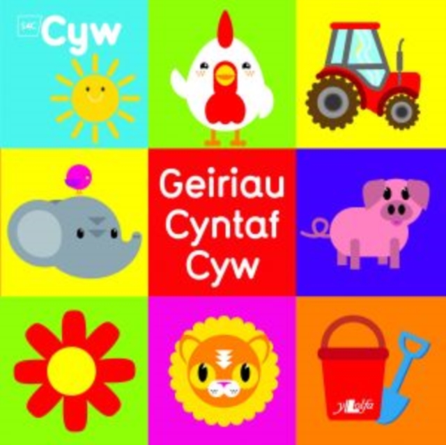 Cyfres Cyw: Geiriau Cyntaf Cyw, Paperback / softback Book