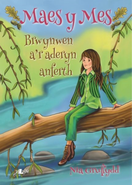 Cyfres Maes y Mes: Brwynwen a'r Aderyn Anferth, Paperback / softback Book