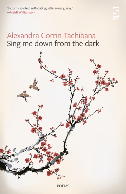 Sing Me Down from the Dark, Paperback / softback Book