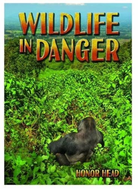 Wildlife in Danger, Paperback / softback Book
