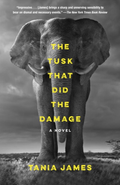 The Tusk That Did the Damage, Paperback / softback Book