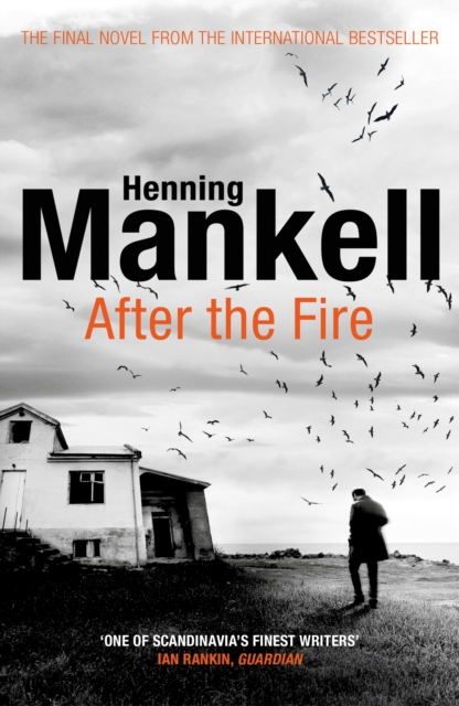 After the Fire, Paperback / softback Book