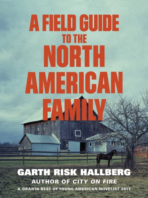 A Field Guide to the North American Family, Paperback / softback Book