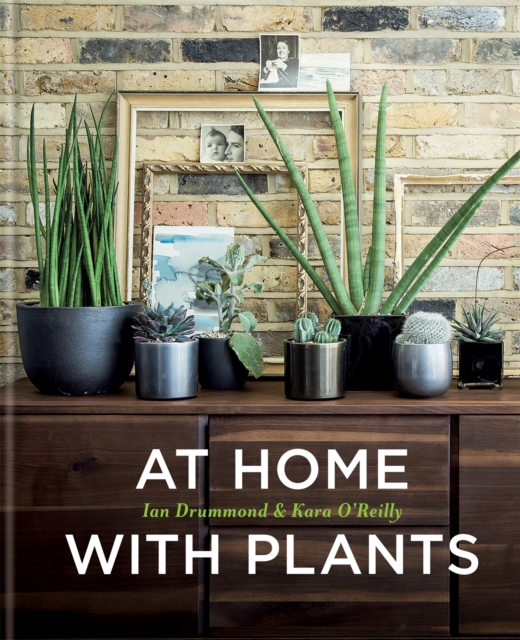 At Home with Plants, Hardback Book