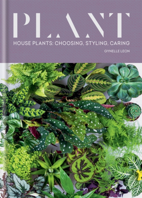 Plant : House plants: choosing, styling, caring, Hardback Book