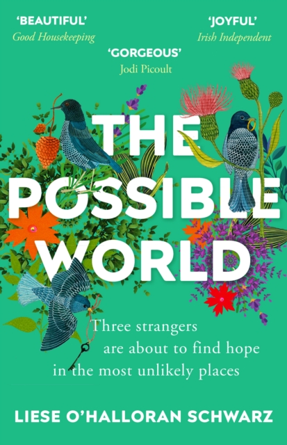 The Possible World, Paperback / softback Book