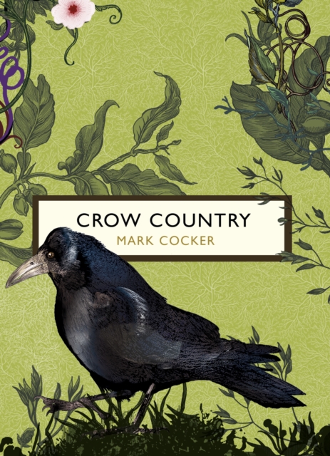 Crow Country (The Birds and the Bees), Paperback / softback Book