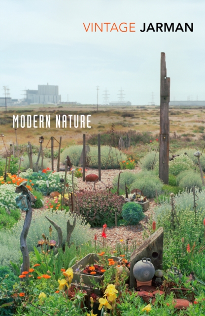Modern Nature : Journals, 1989 - 1990, Paperback / softback Book