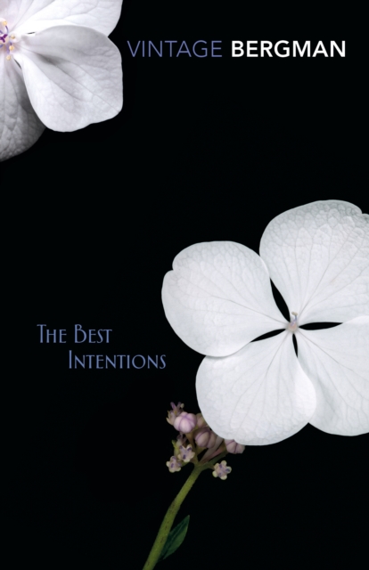 The Best Intentions, Paperback / softback Book