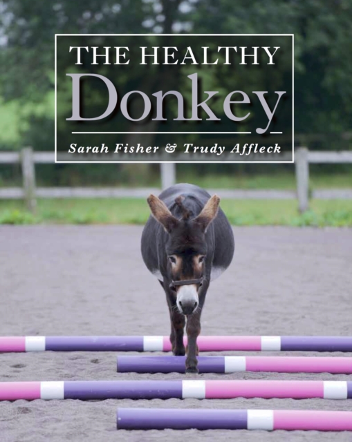 Healthy Donkey, EPUB eBook