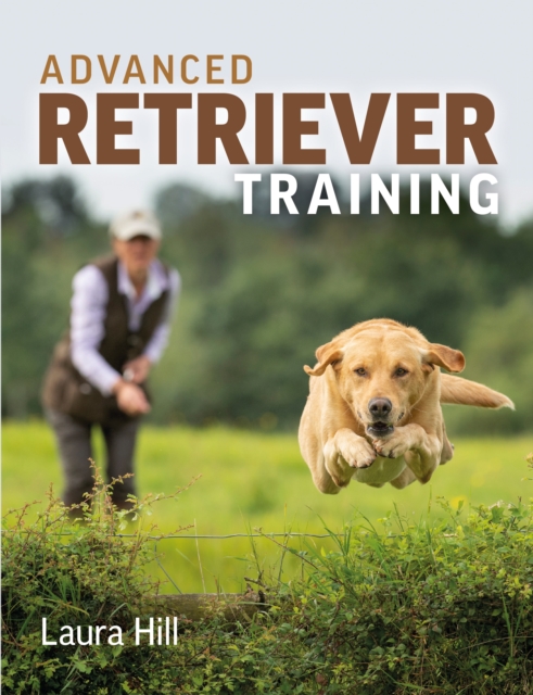 Advanced Retriever Training, Paperback / softback Book