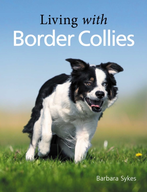 Living with Border Collies, Paperback / softback Book