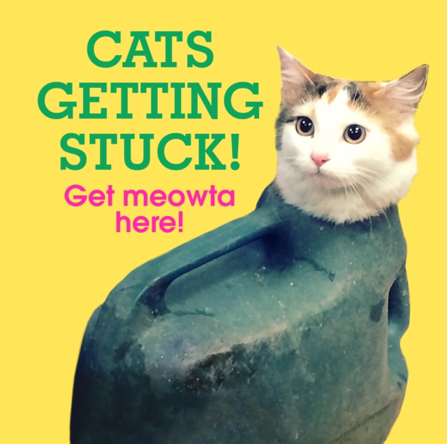 Cats Getting Stuck!, Hardback Book