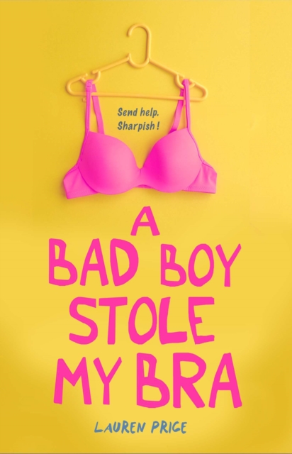 A Bad Boy Stole My Bra, Paperback / softback Book