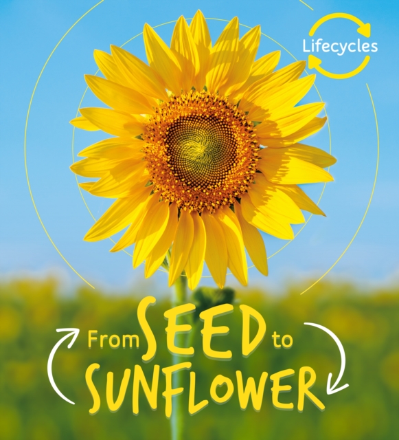 Lifecycles: Seed to Sunflower, Paperback / softback Book