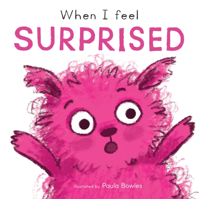When I Feel Surprised, Board book Book