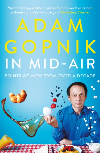 In Mid-Air : Points of View from over a Decade, Paperback / softback Book